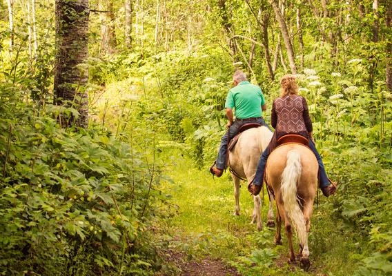 Two people on horseback surrounded by lush green forest
