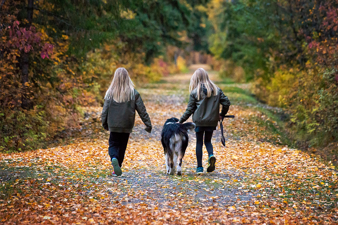 Two young girls walking their dog down a trail surrounded by fall colours